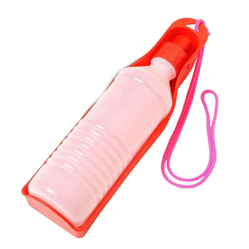 Portable Water Bottles