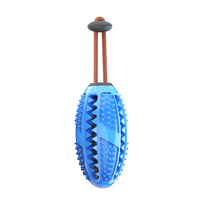 Toothbrushes & Dental Kits