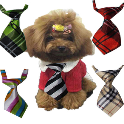Bow Ties & Neckwear