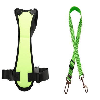 Pet Seat Belts & Harnesses