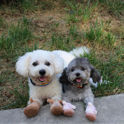 Boots & Paw Protectors