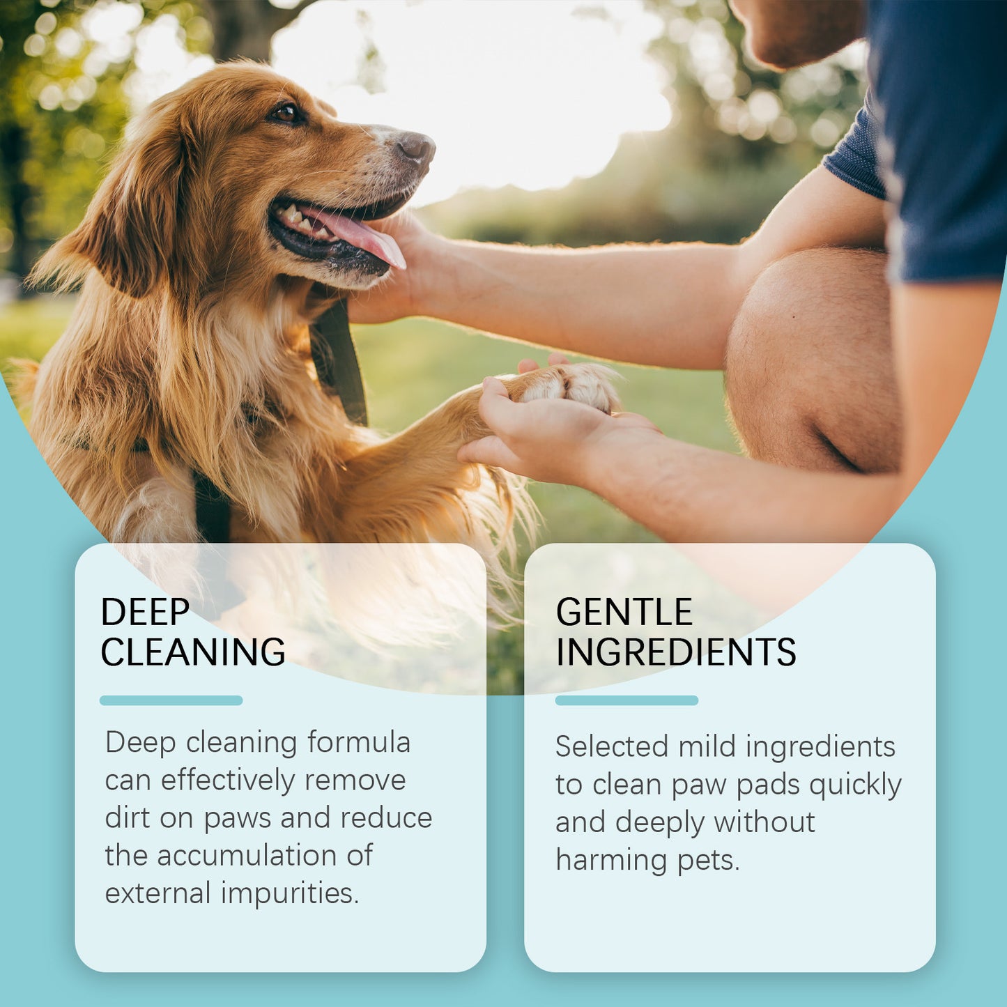 Organic & Natural Treats