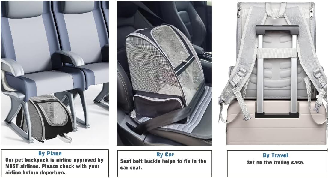 Airline Approved Carriers