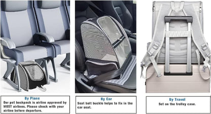 Airline Approved Carriers