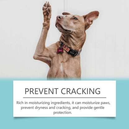 Organic & Natural Treats